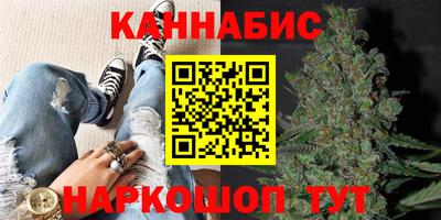 Альфа ПВП Пенза