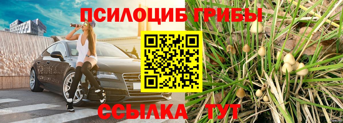 Галлюциногенные грибы Magic Shrooms Приморско-Ахтарск